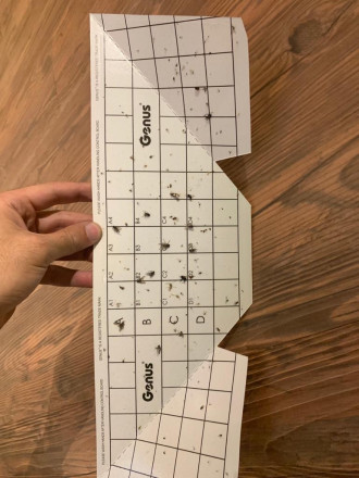 Ловушка насекомых с клеевой основой "Genus Illume LED Galaxy White" Ловушка насекомых с клеевой основой "Genus Illume LED Galaxy White"